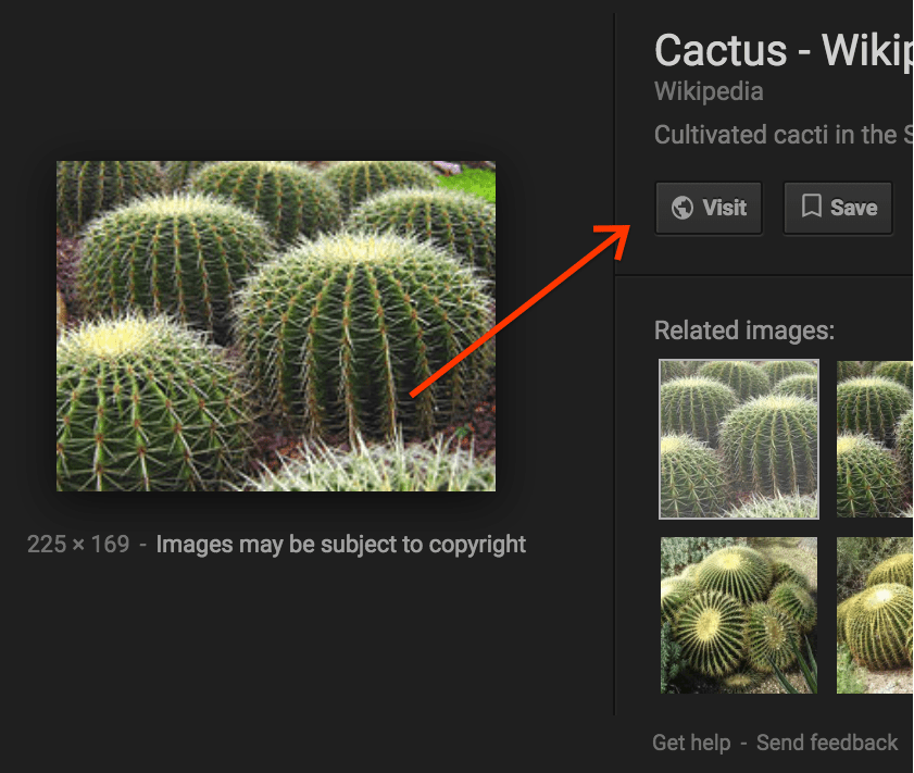 image search changes