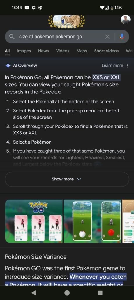 ai overview pokemon go